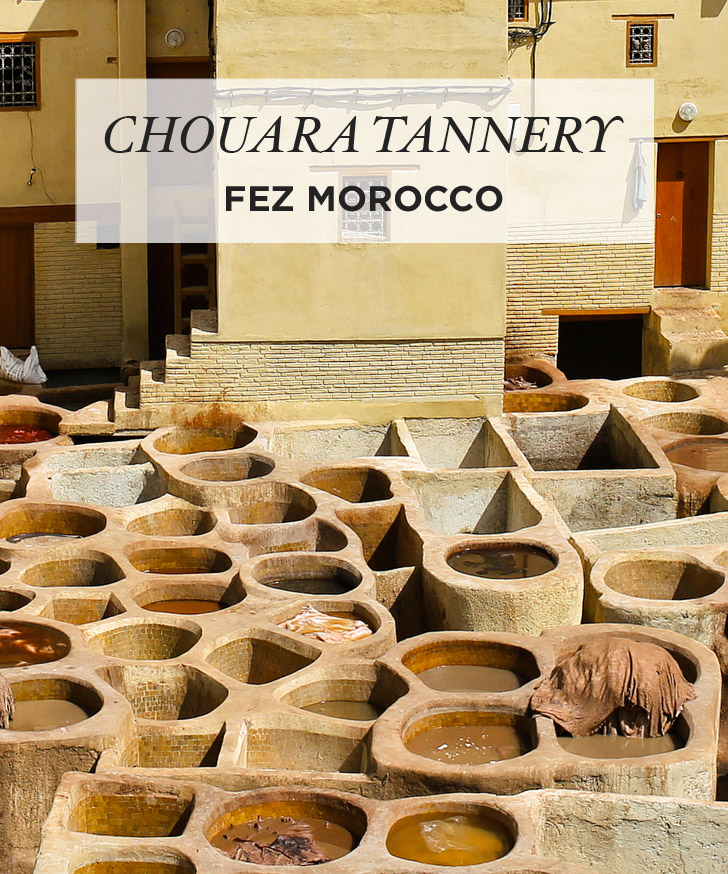 Colorful Sights and Strange Smells of the Chouara Tannery in Fez Morocco.
