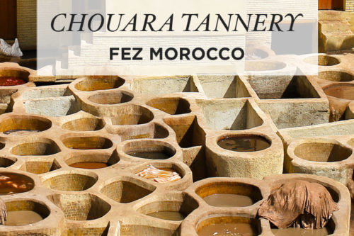 Chouara Fes Tannery Photo Guide