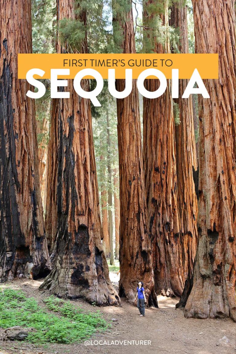 15 Amazing Things to Do in Sequoia National Park + Kings Canyon