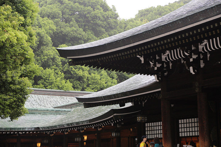 Write a Prayer at the Meiji Shrine in Harajuku (13 Top Things to Do in Tokyo Japan).