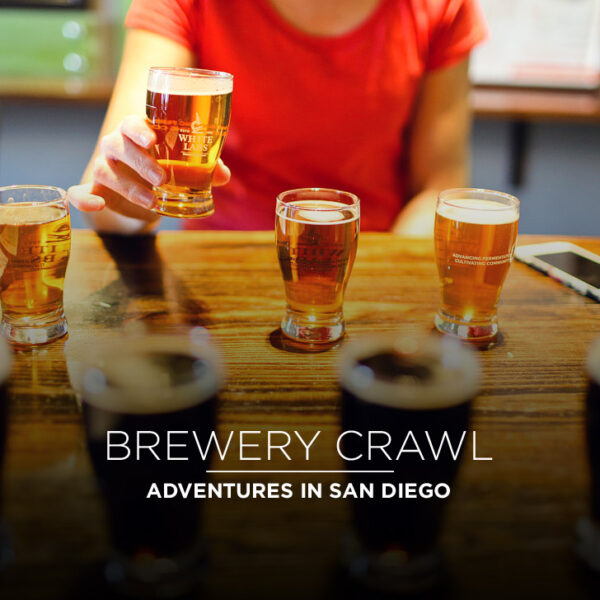 Brewery Tours with Adventures in San Diego