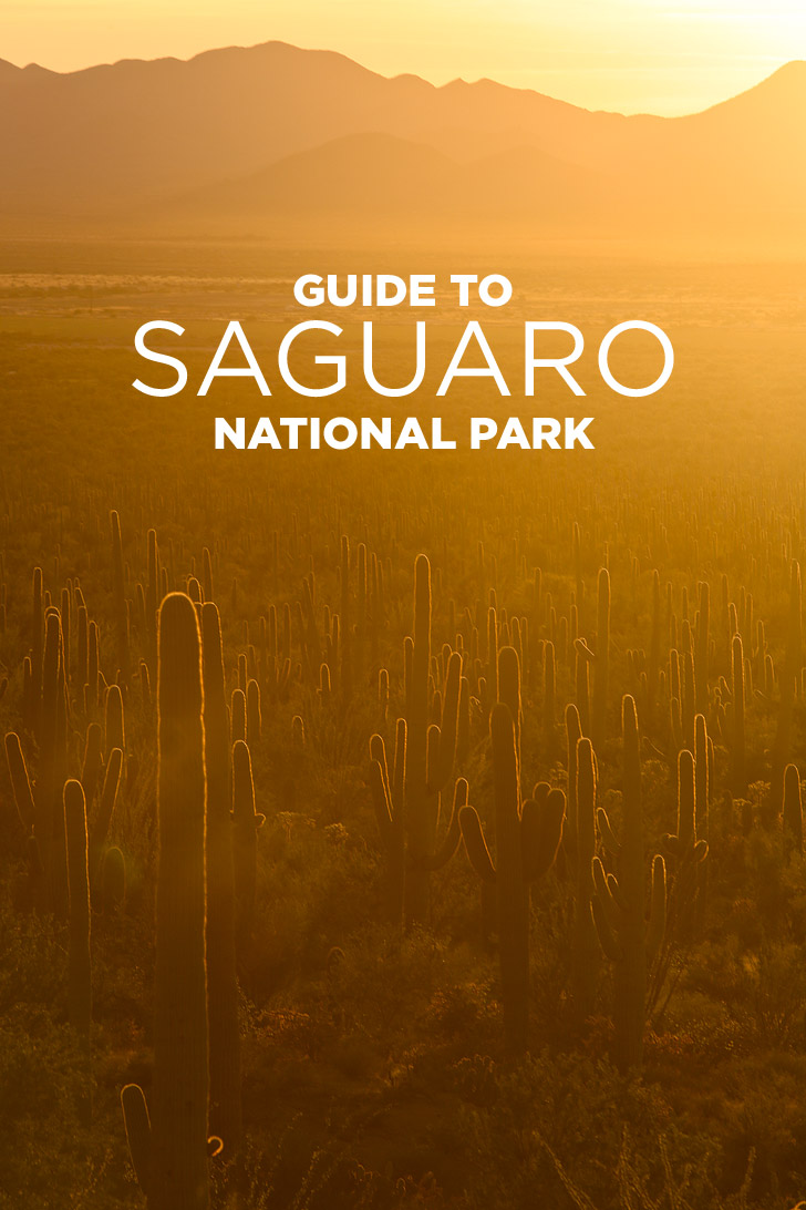 10 Things to Do in Saguaro National Park Tucson AZ.