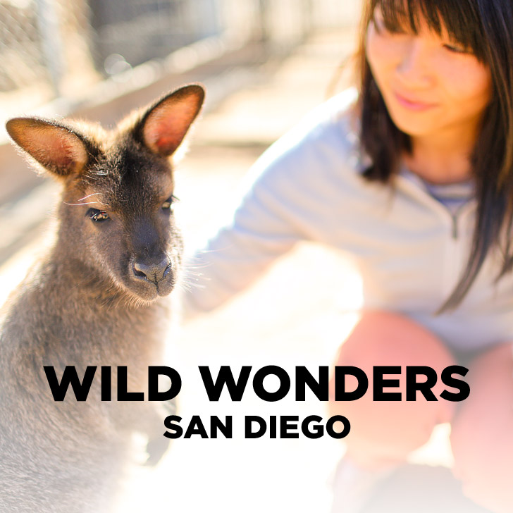 Meet the Animals of Wild Wonders Bonsall CA.