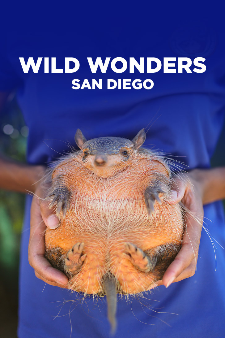 Meet the Animals of Wild Wonders Bonsall California.