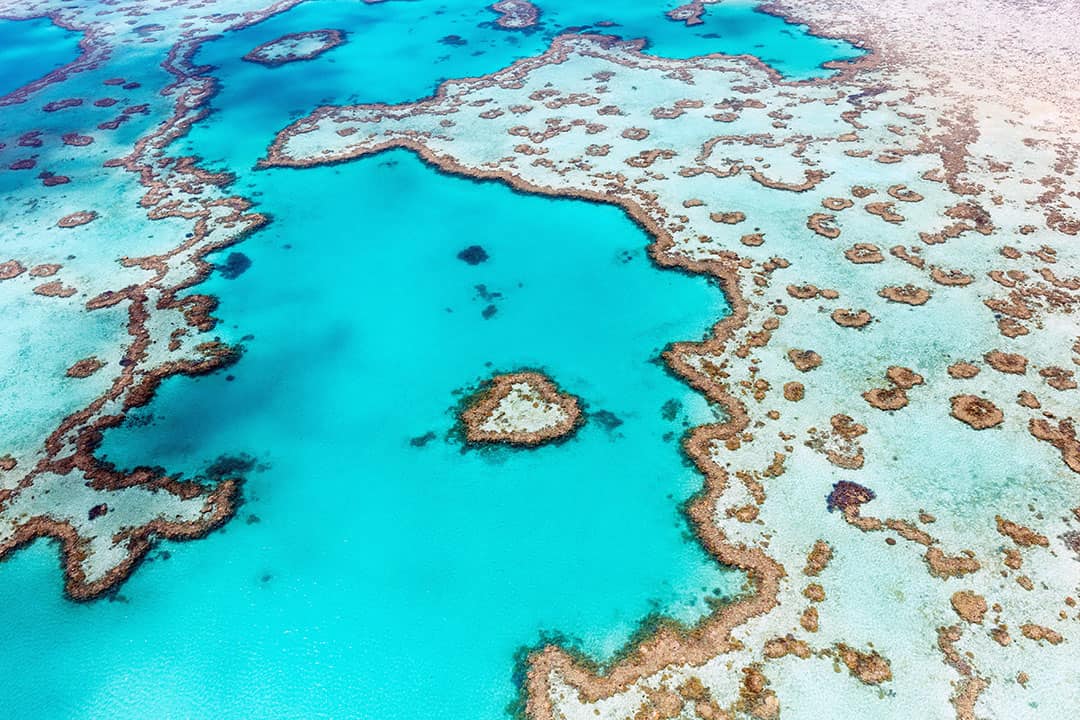 heart reef whitsundays great barrier reef