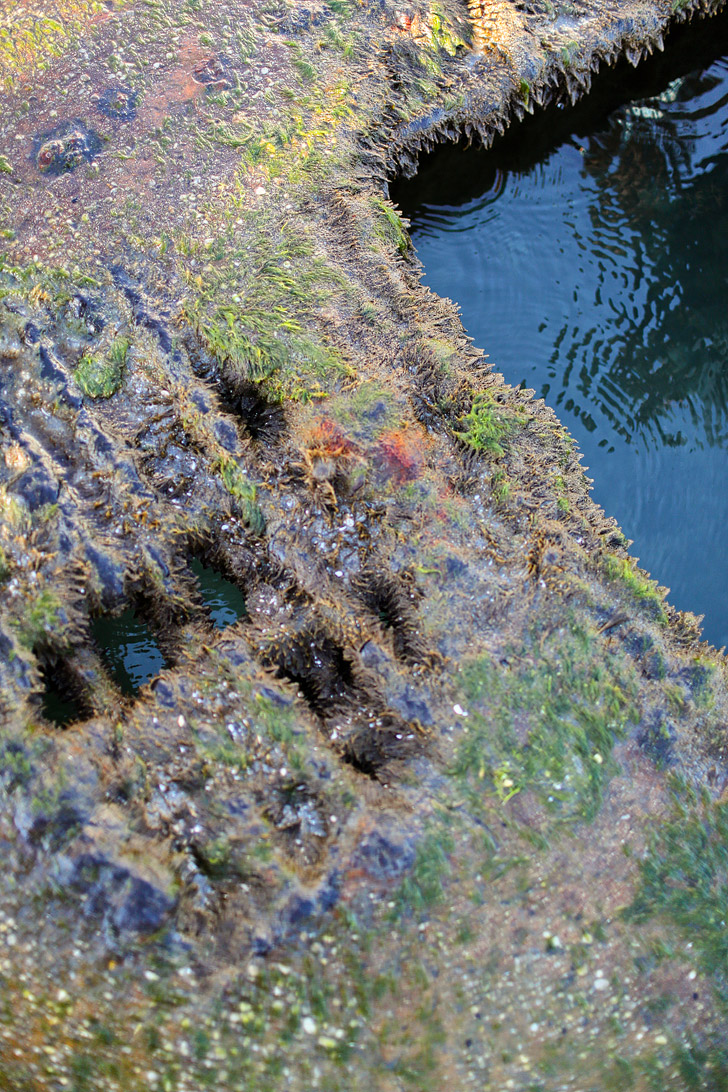 Where to Find the Sunken Ship in San Diego - Recent storms have uncovered a sunken ship on the beach // localadventurer.com