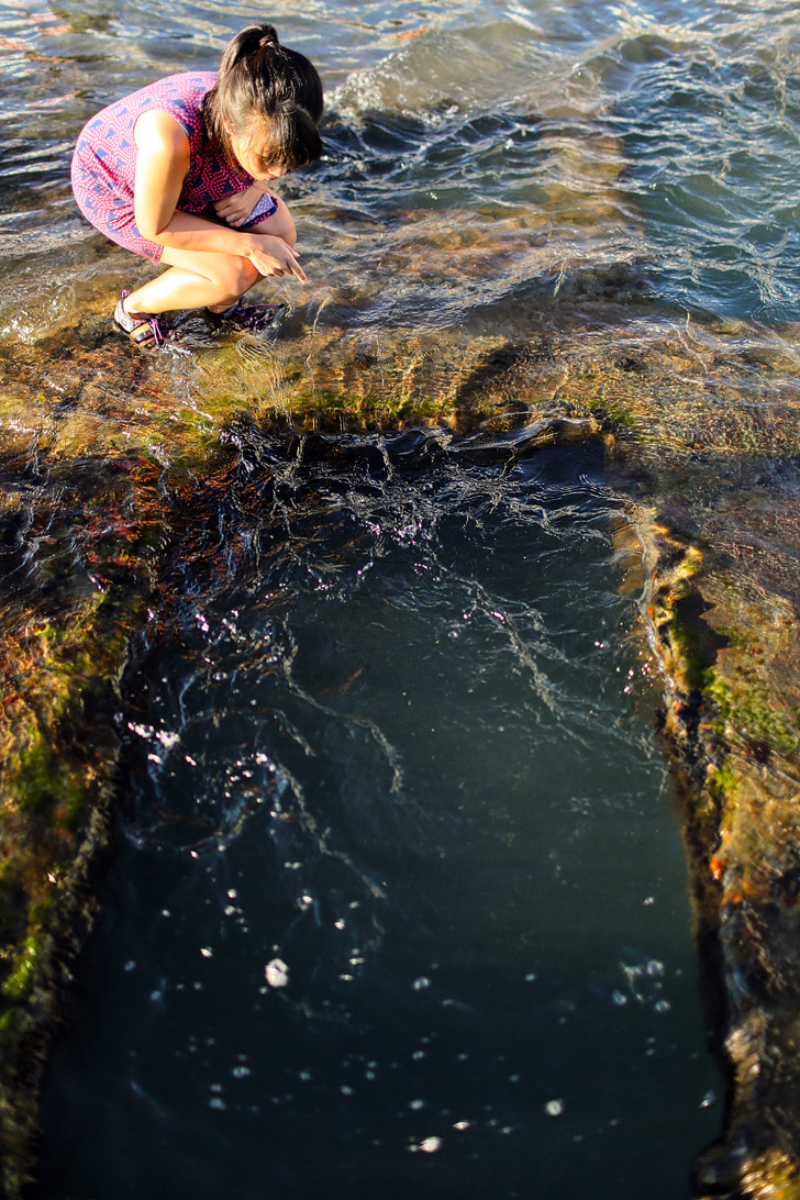 How to Find the Sunken Ship in San Diego - Recent storms have uncovered a sunken ship on the beach // localadventurer.com