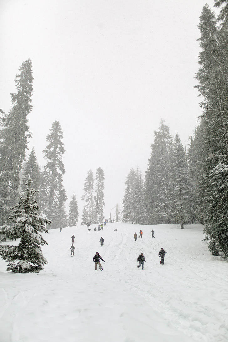 Yosemite Snowshoeing at Badger Pass.