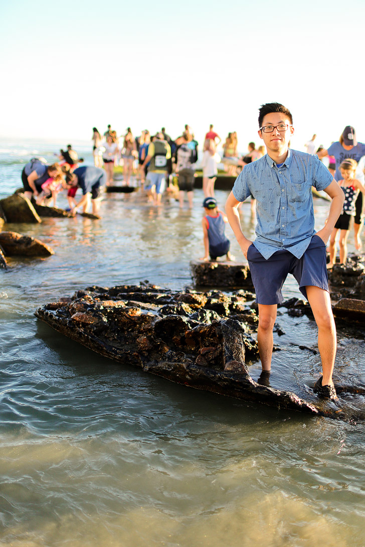 Where to Find the Sunken Ship on Coronado Island San Diego - Recent storms have uncovered a sunken ship on the beach // localadventurer.com