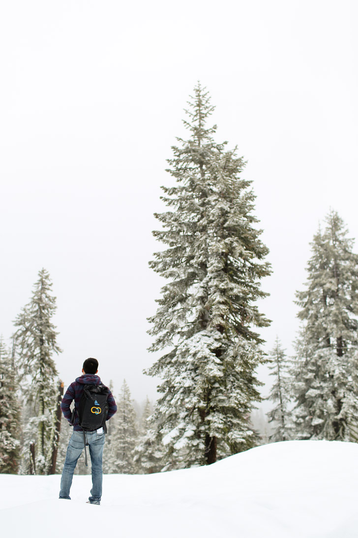 Yosemite Winter - Snowshoeing at Badger Pass.