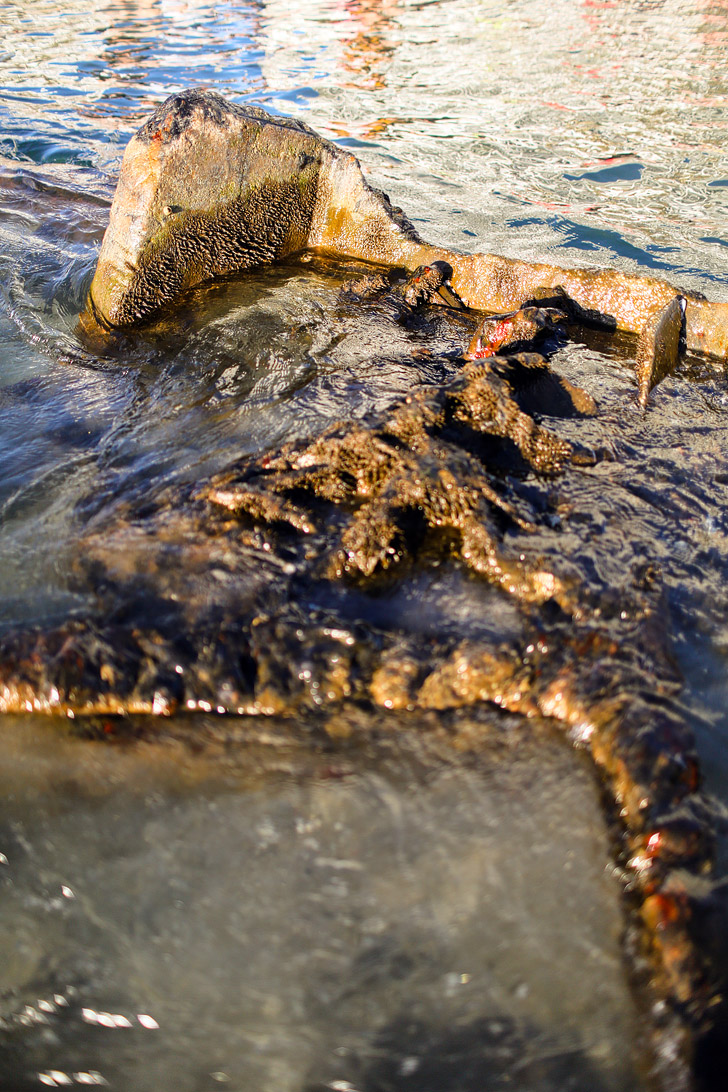 Where to Find the Sunken Ship in San Diego - Recent storms have uncovered a sunken ship on the beach // localadventurer.com