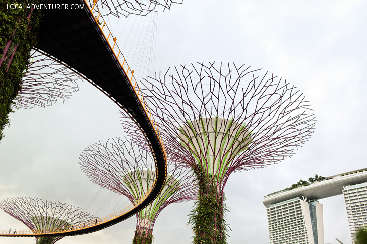 Supertree Grove Gardens by the Bay Singapore