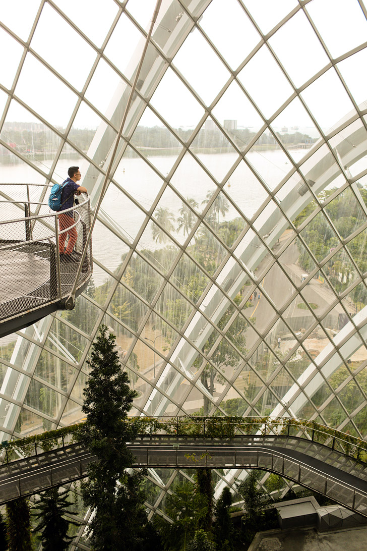 Cloud Forest Gardens By the Bay Singapore.