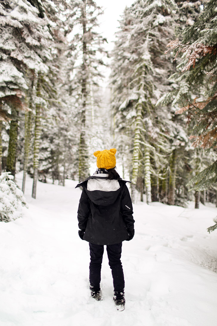 Visiting Yosemite in Winter.