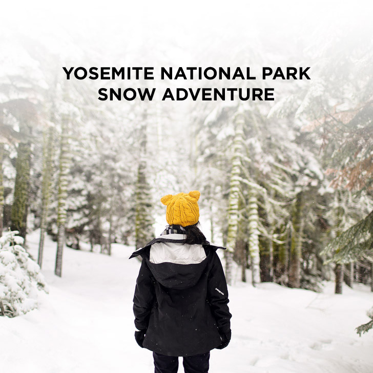 You are currently viewing Snowshoeing Yosemite National Park – A Yosemite Winter Wonderland