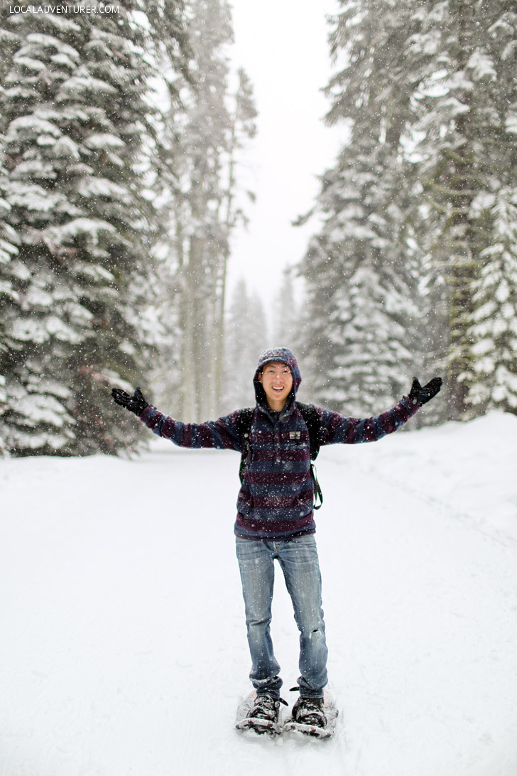 Yosemite Snow!