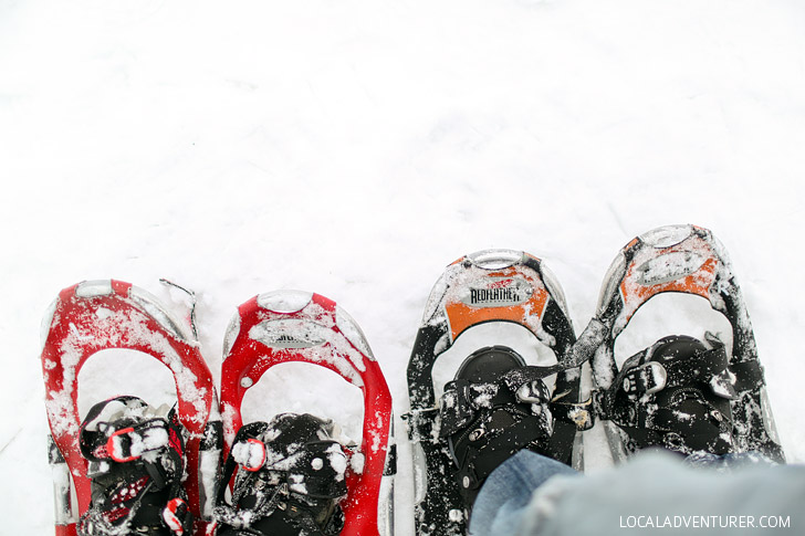 Yosemite Winter Activities - Snowshoeing at Badger Pass