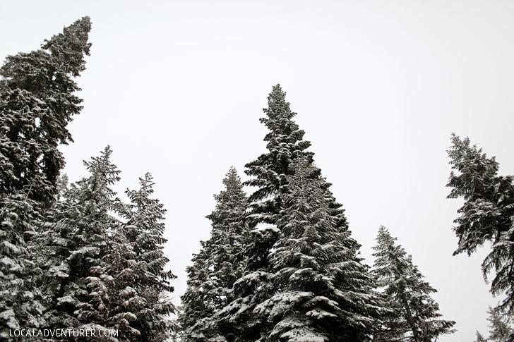 Yosemite Winter.