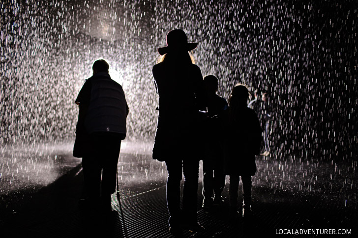 The LACMA Rain Room - Los Angeles - Local Adventurer