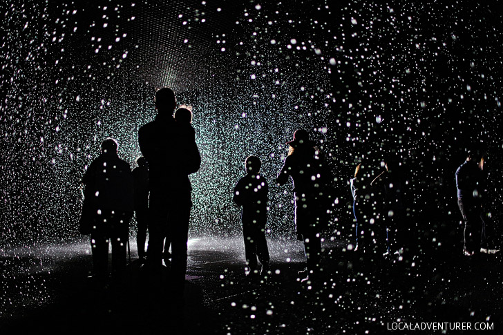 The Rain Room LACMA Museum - Los Angeles California.