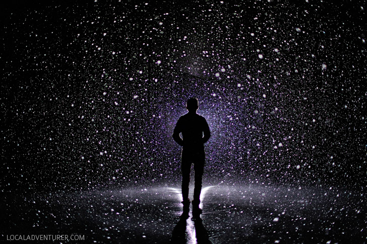 The LACMA Rain Room is an exhibit that combines art and technology and lets you walk in the rain without getting wet.