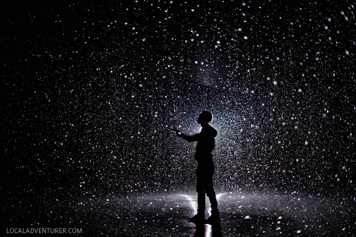 The Rain Room LACMA / LA County Museum of Art.