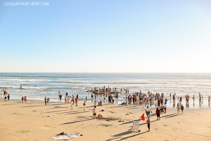 Where to Find the Sunken Ship on Coronado Beach - Recent storms have uncovered a sunken ship on Coronado Island San Diego // localadventurer.com