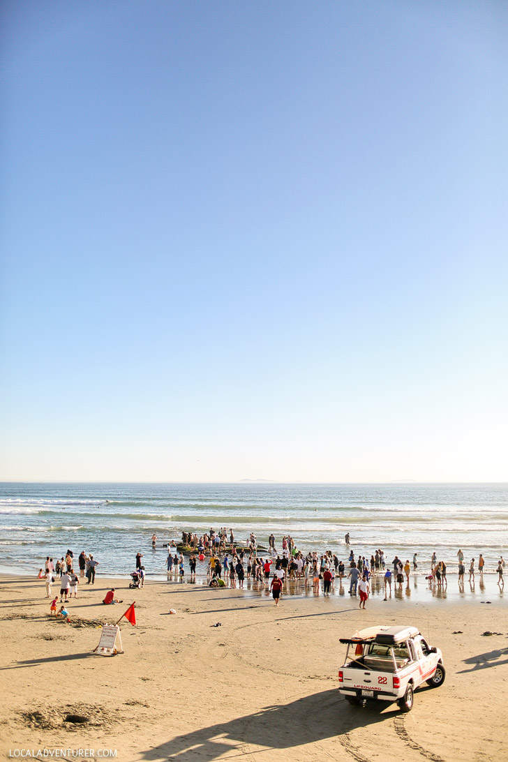 Where to Find the Sunken Ship in San Diego - Recent storms have uncovered a sunken ship on the beach // localadventurer.com