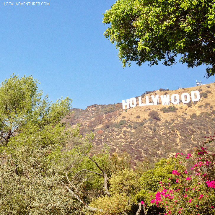 Hike to the Hollywood Sign + More Fun Free Things to Do in LA // localadventurer.com