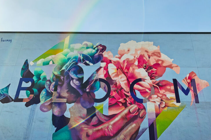 https://localadventurer.com/wp-content/uploads/2016/02/los-angeles-wall-mural-728x485.jpg