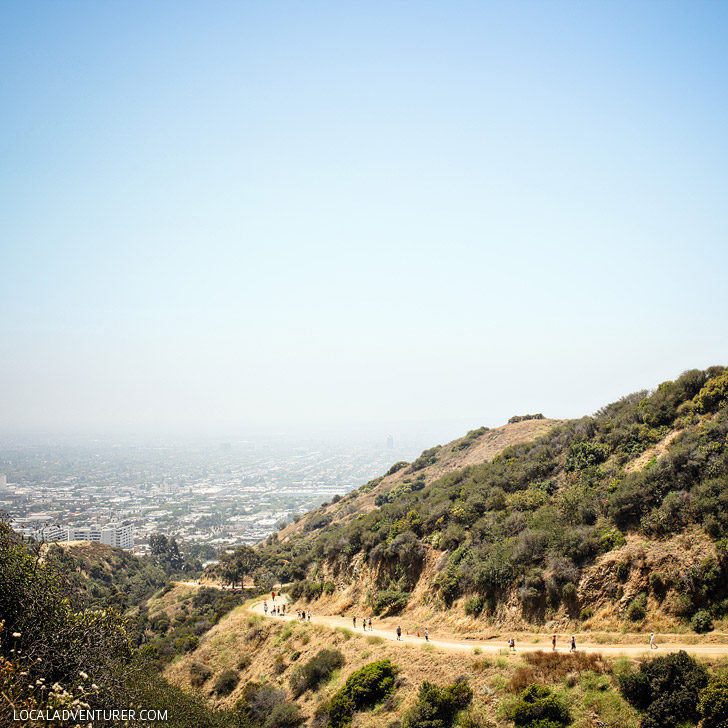 Hike Runyon Canyon - the most popular and most touristy hike in LA + 25 Free Things to do in LA // localadventurer.com