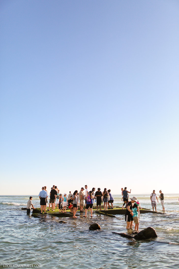 Where to Find the Sunken Ship in San Diego - Recent storms have uncovered a sunken ship on the beach // localadventurer.com