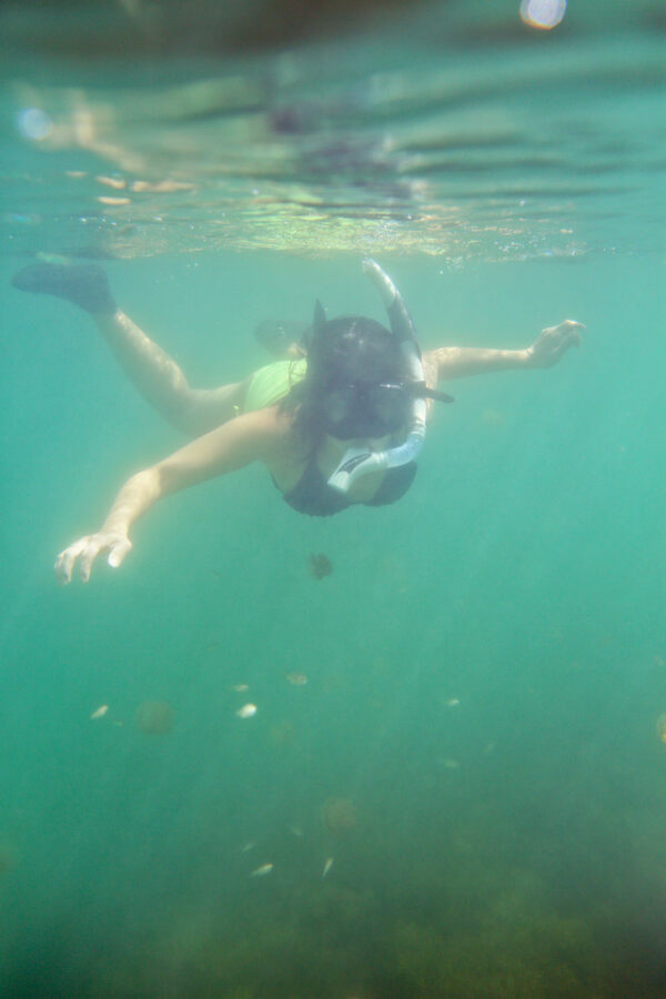 Swimming with Stingless Jellyfish in Jellyfish Lake Kakaban