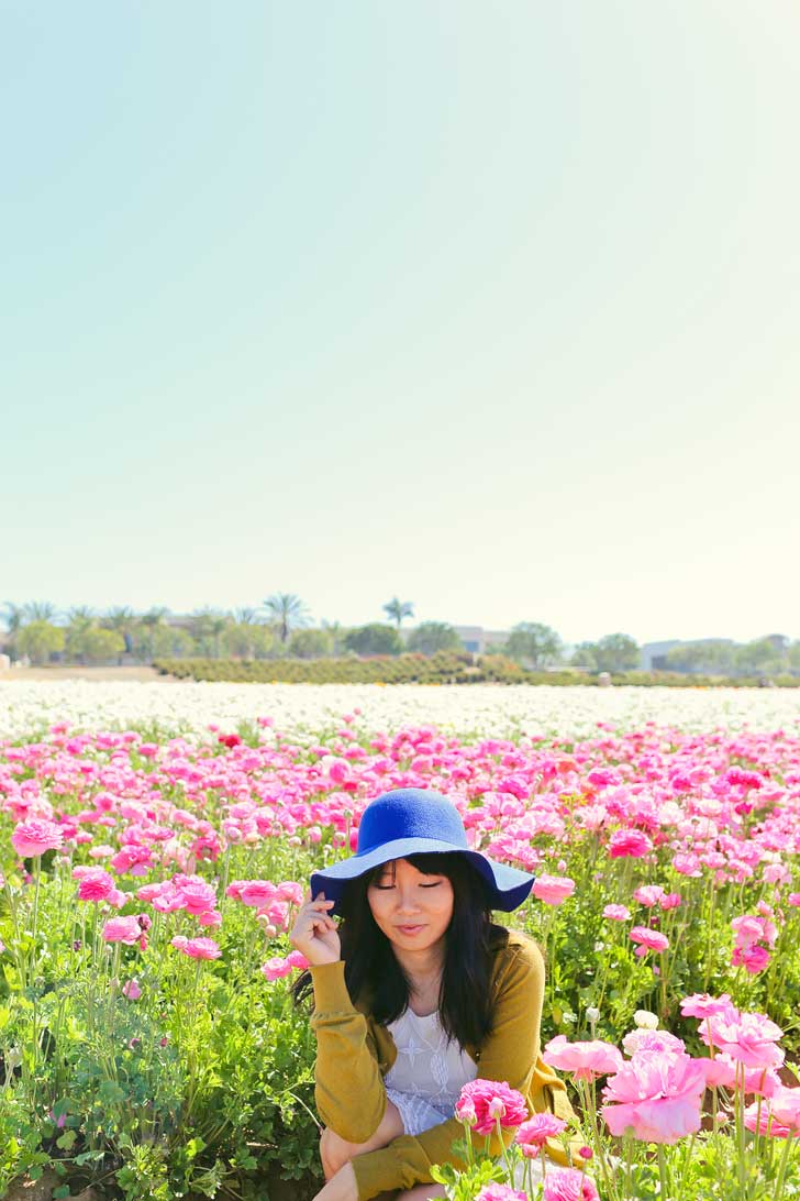 It's Ranunculus Season at the Carlsbad Flower Fields. See them before they’re gone! // localadventurer.com