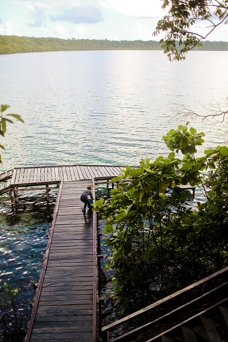 You can swim with Stingless Jellyfish at Jellyfish Lake Indonesia - Kakaban Island East Kalimantan // localadventurer.com