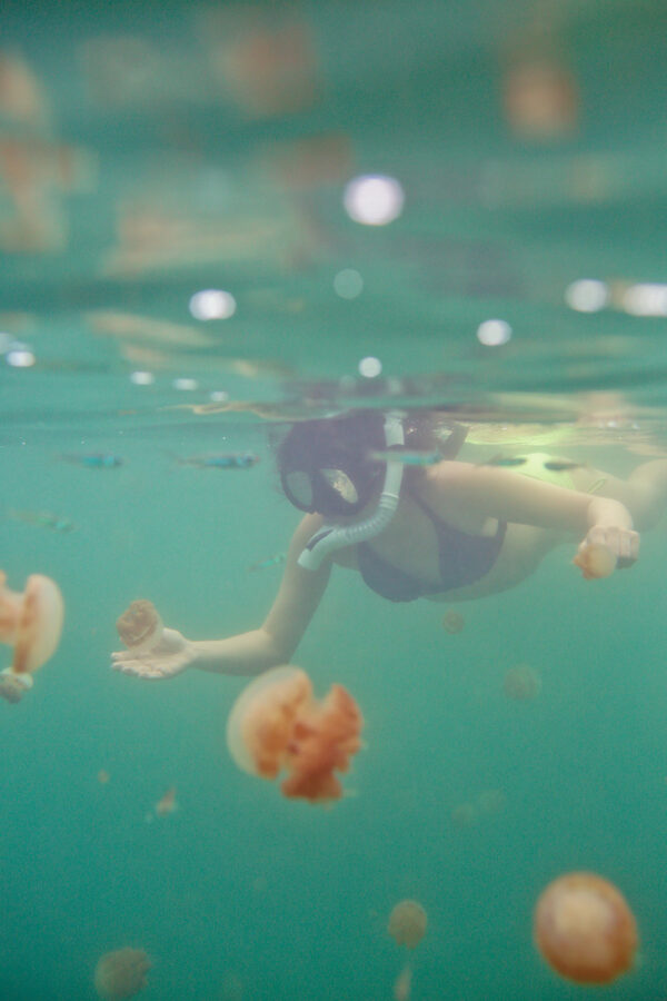 Swimming with Stingless Jellyfish in Jellyfish Lake Kakaban