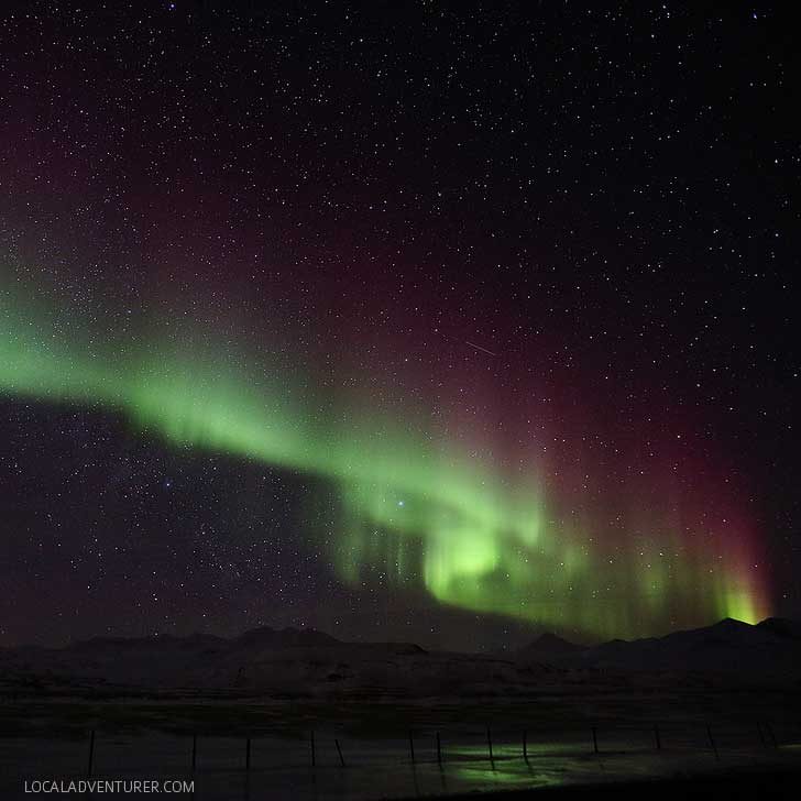 How to See the Northern Lights + Tips from Our Iceland Trip // localadventurer.com