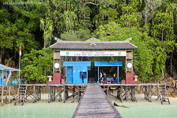 Derawan Island Indonesia // localadventurer.com