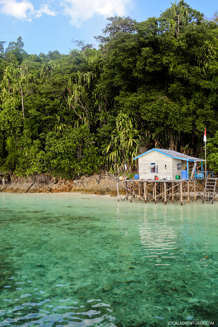 Kakaban Island Derawan Indonesia has a Jellyfish Lake with Stingless Jellyfish that you can swim with! // localadventurer.com