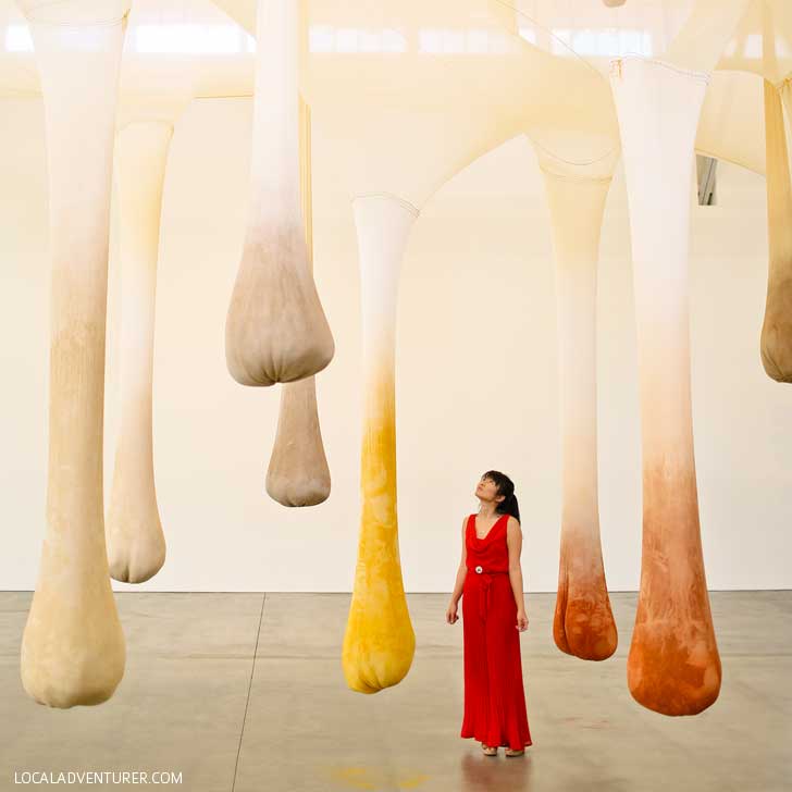 Museum of Contemporary Art San Diego + Best Instagram Spots in San Diego // localadventurer.com