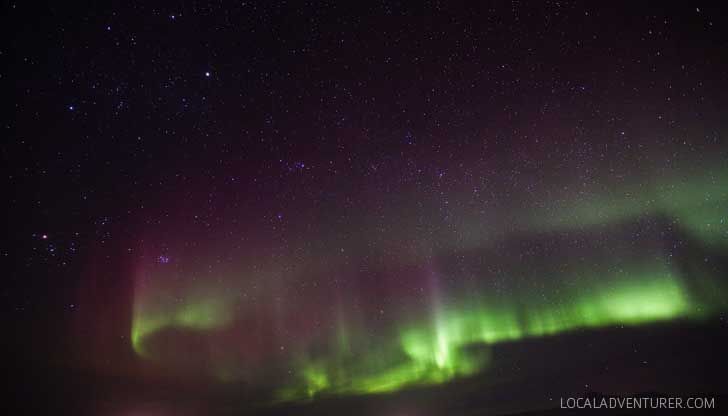 How to See the Northern Lights + Tips from Our Iceland Trip // localadventurer.com