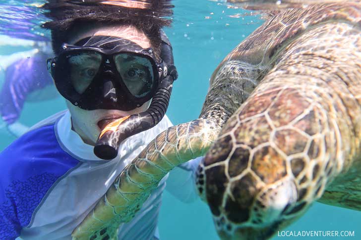 Swimming with Endangered Green Sea Turtles in Indonesia - Where You're Almost Guaranteed to See One! // localadventurer.com