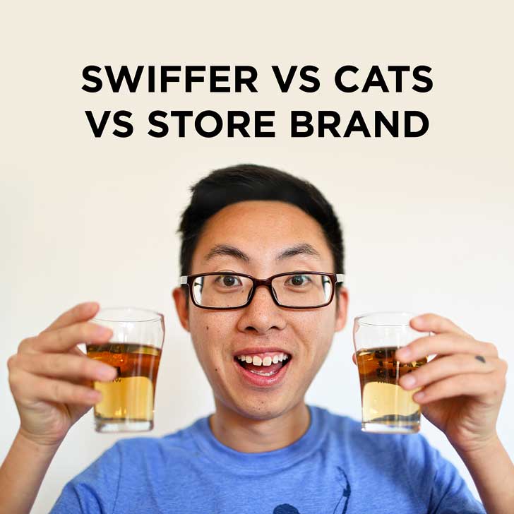 You are currently viewing Swiffer Vs Store Brand Vs Cats!