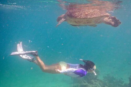 Snorkeling in Indonesia with Endangered Sea Turtles