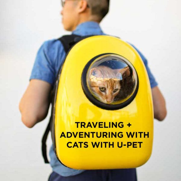 Adventuring and Traveling with Cats with UPet