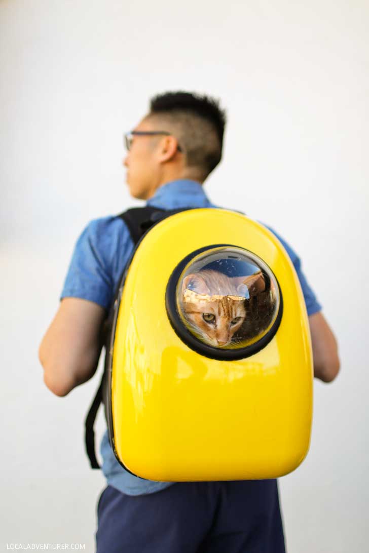 U pet deals carrier