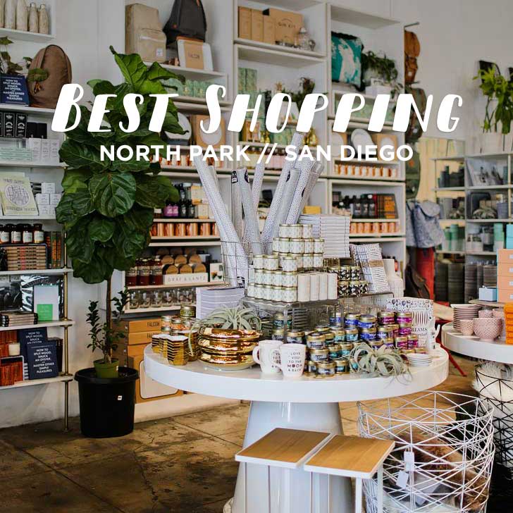 Best North Park Stores to Shop At (San Diego Neighborhood Guides) // localadventurer.com