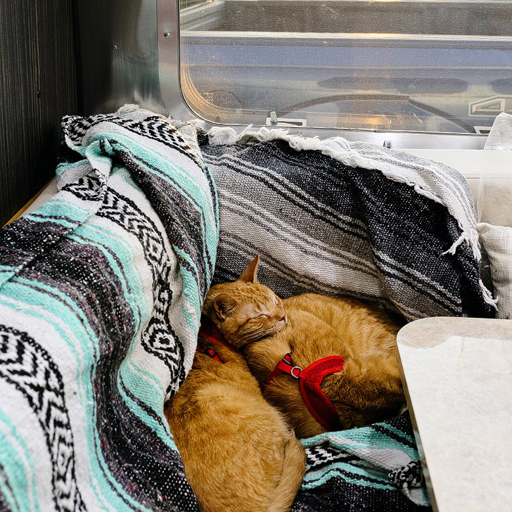 Catventurers Move into an Airstream on the Endless Caravan // localadventurer.com