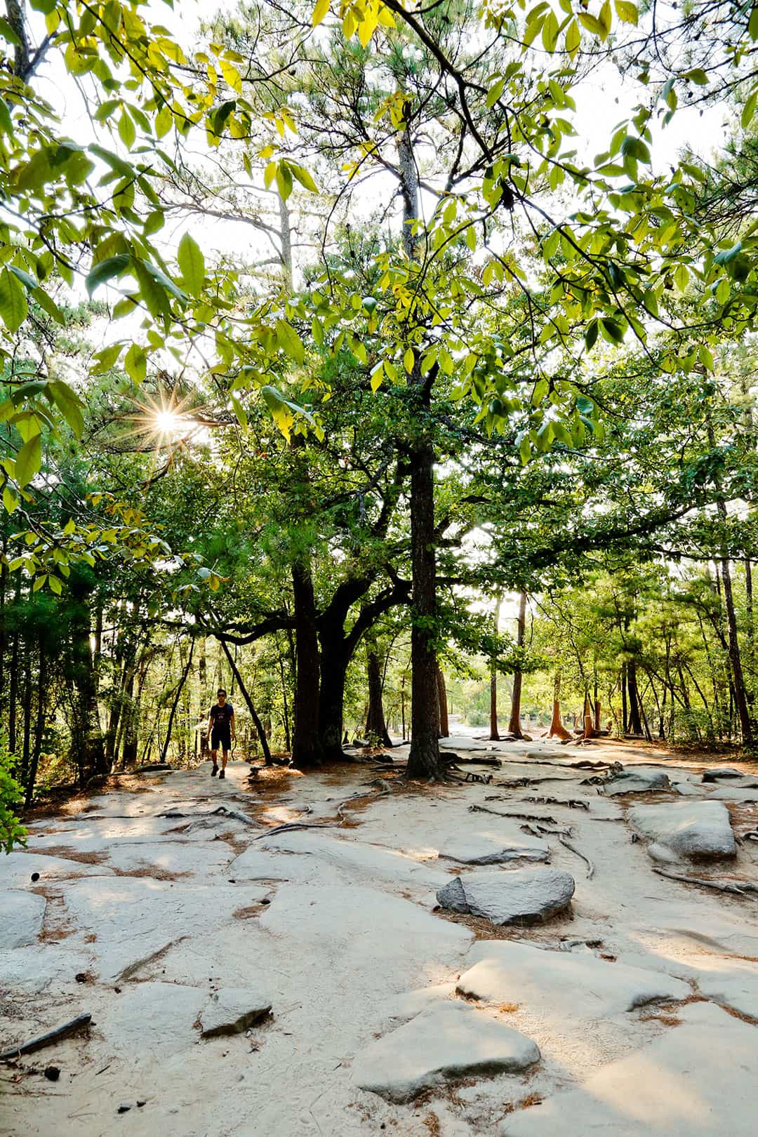 stone mountain hiking