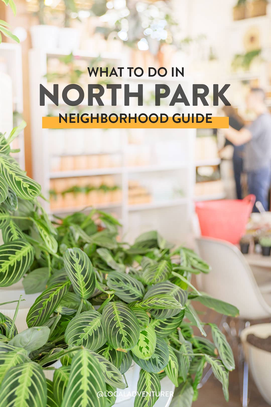 things to do in north park san diego